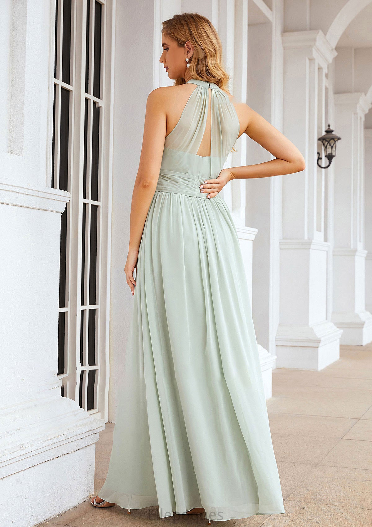 A-line High-Neck Sleeveless Long/Floor-Length Chiffon Bridesmaid Dresses With Pleated Skye HOP0025326