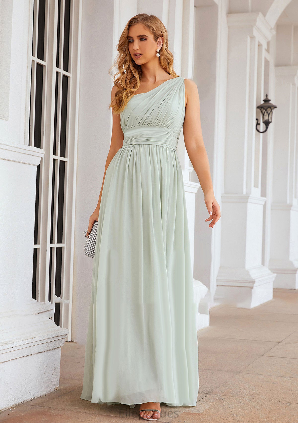A-line One-Shoulder Sleeveless Chiffon Long/Floor-Length Bridesmaid Dresses With Pleated Alani HOP0025382