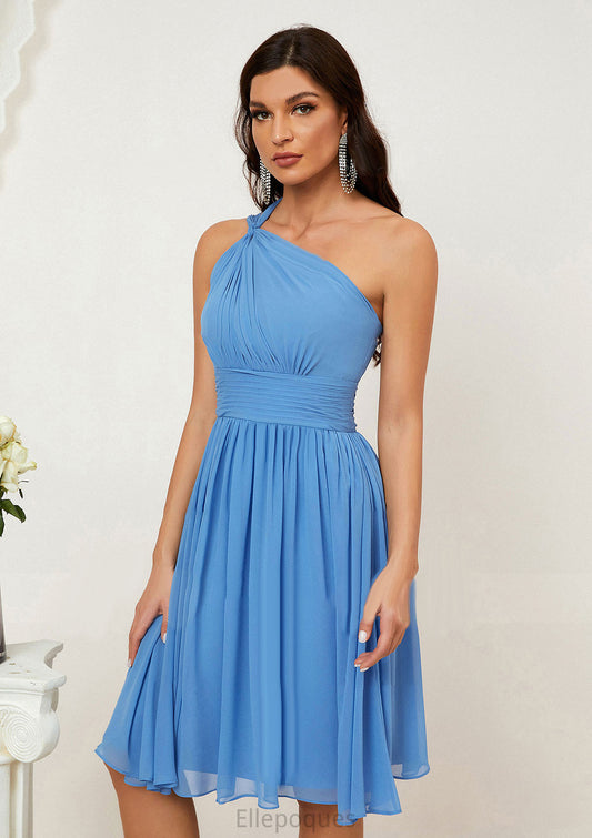 A-line One-Shoulder Sleeveless Chiffon Knee-Length Bridesmaid Dresses With Pleated Jan HOP0025612