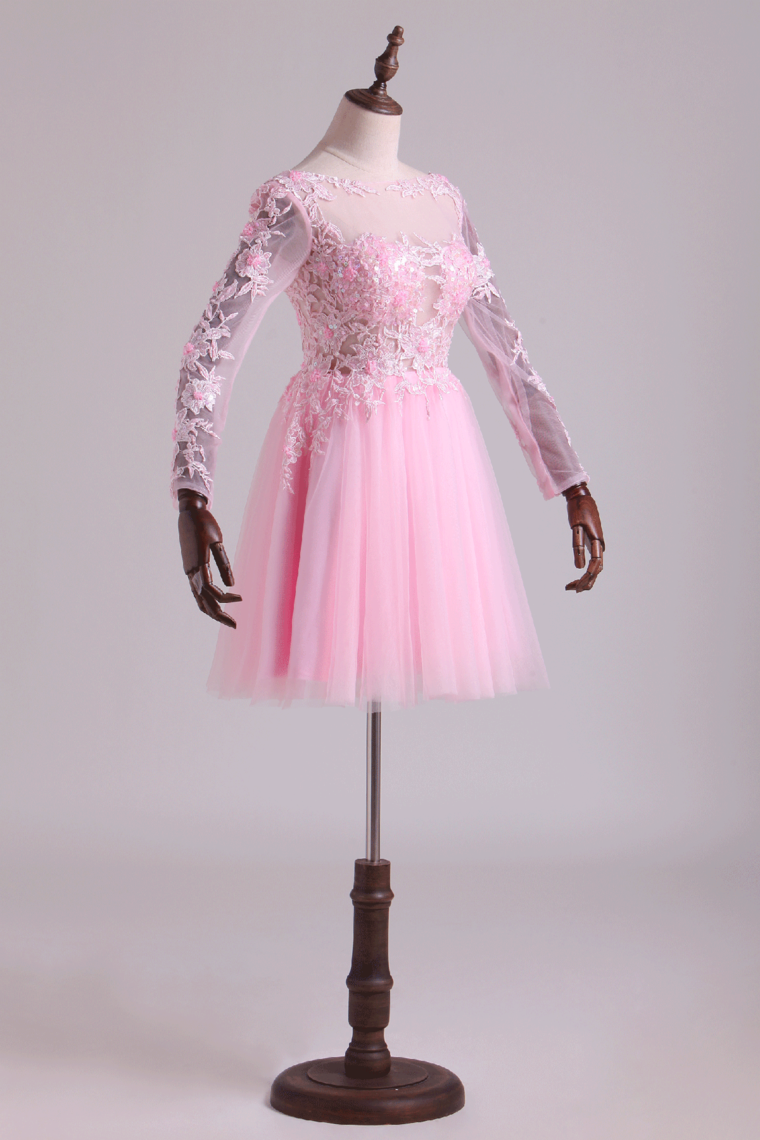 2024 Bateau Homecoming Dresses A Line With Embroidery & Beads Tulle Mini